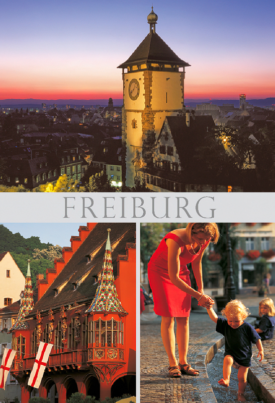 Freiburg-Magnet FR-M-81