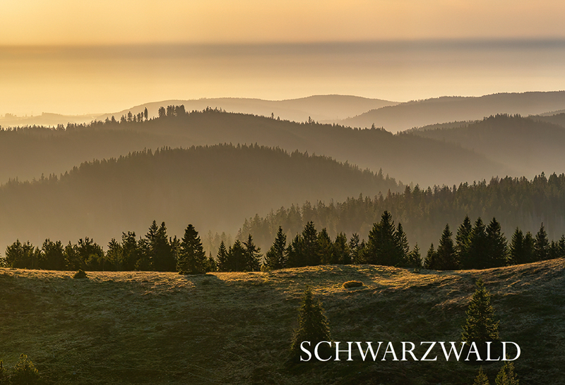 Schwarzwald-Magnet SW-M-28