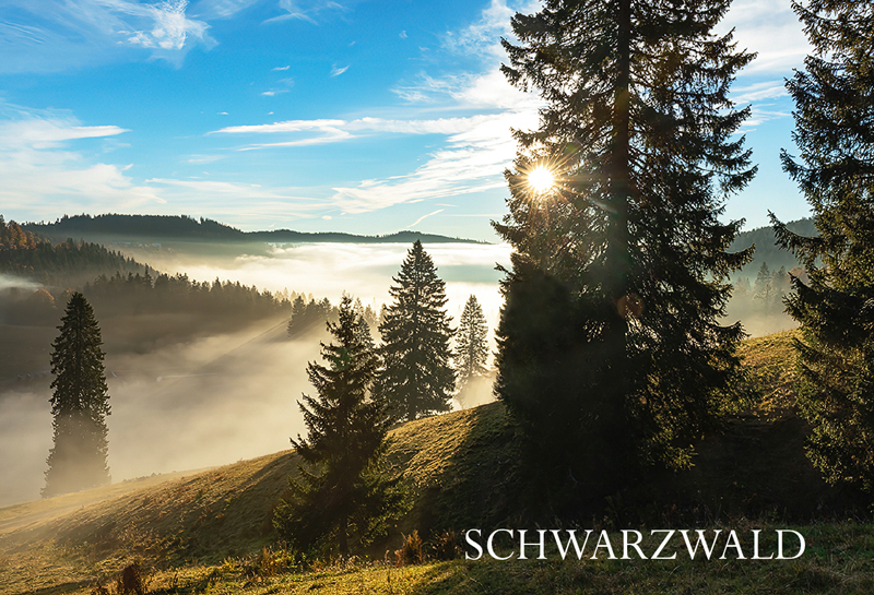 Schwarzwald-Magnet SW-M-29