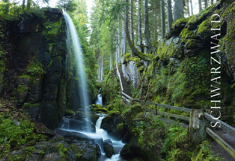 Schwarzwald-Magnet SW-M-33