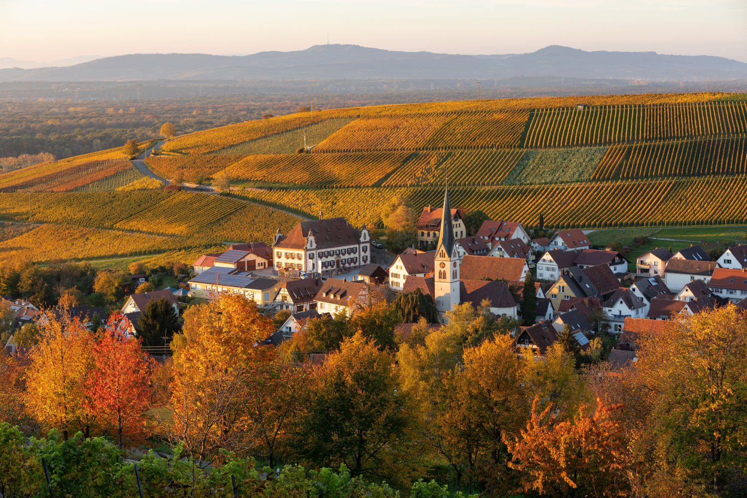 Ebringen, Markgräfler Land