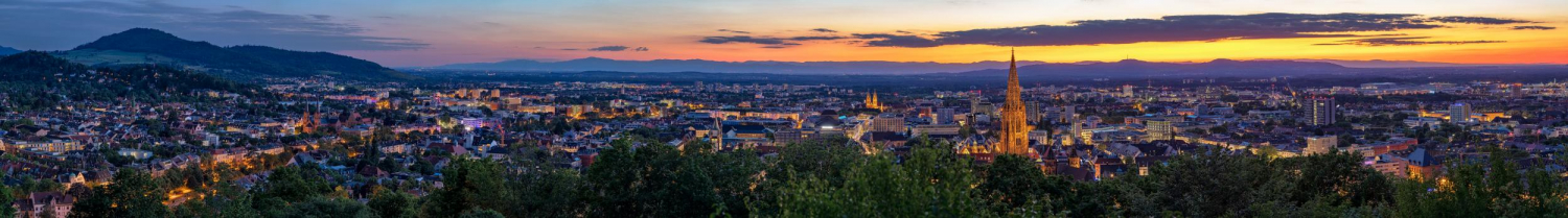 02 - Blick auf die Stadt vom Schlossberg