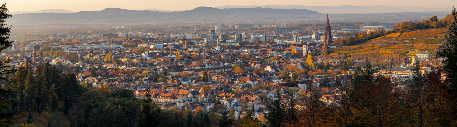 09 - Blick auf die Stadt vom Sternwald