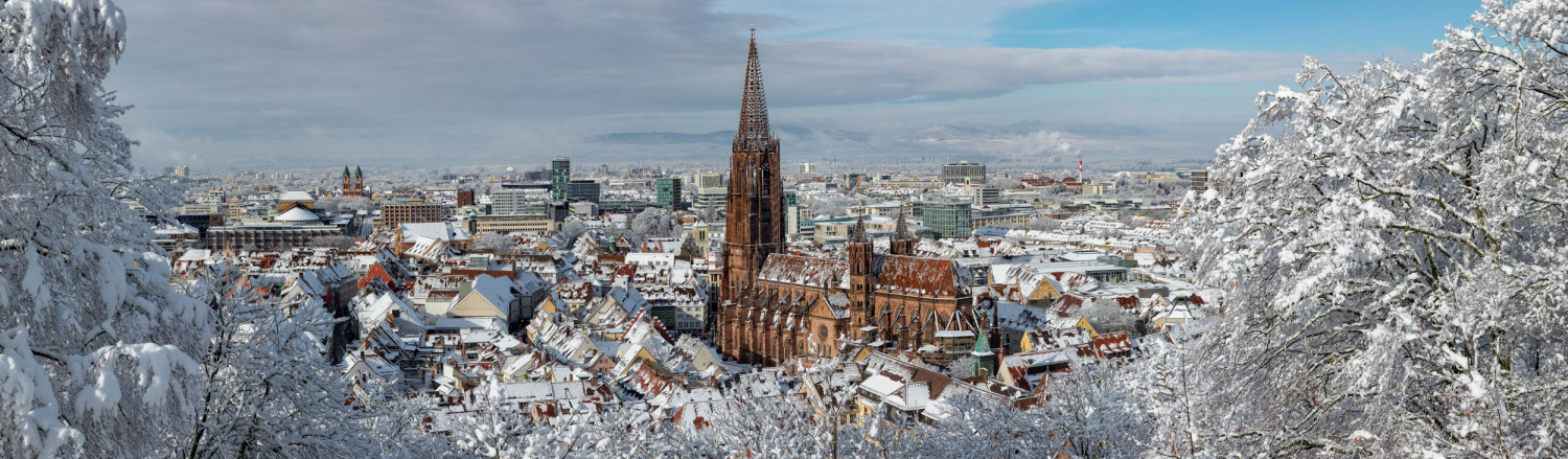 14 - Blick vom Schlossberg