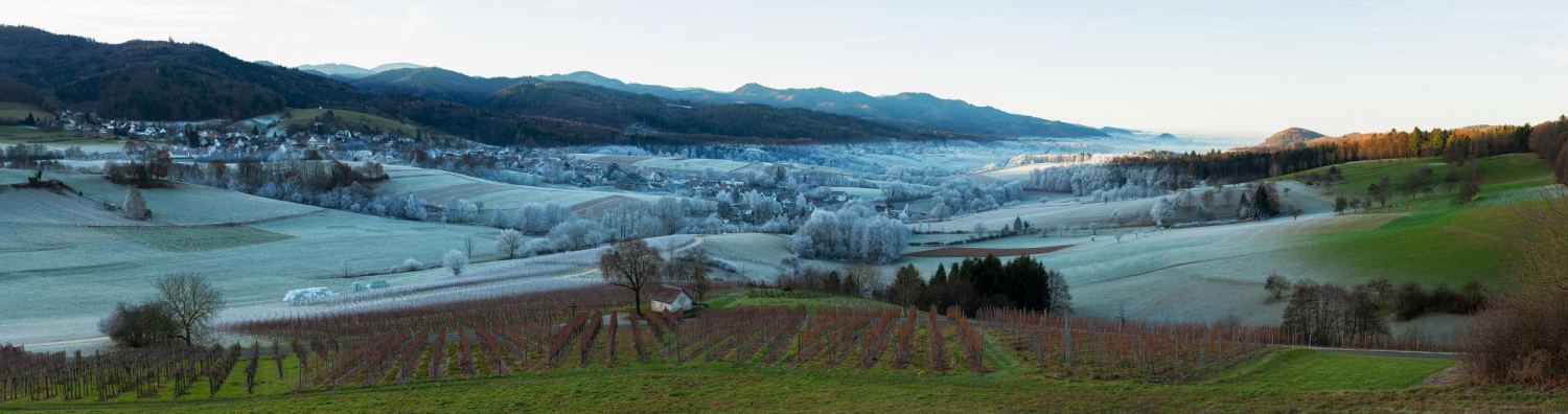 10 - Blick von Wittnau nach Sölden