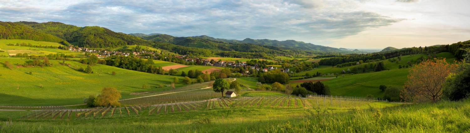 13 - Blick von Wittnau nach Sölden