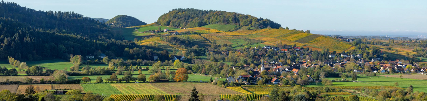 11- Blick von Staufen nach Grunern, Markgräflerland