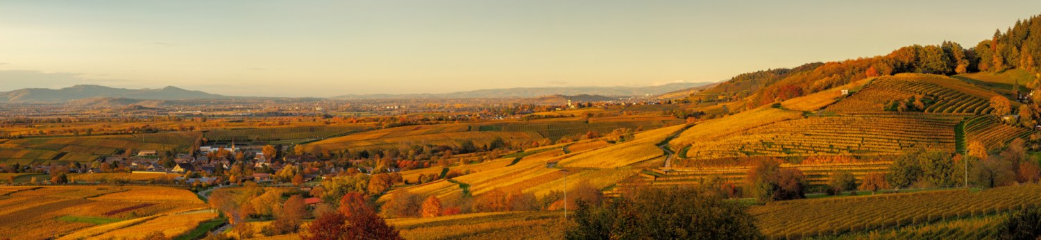 04 - Blick von Britzingen über Laufen zum Kaiserstuhl Laufen, Markgräflerlad