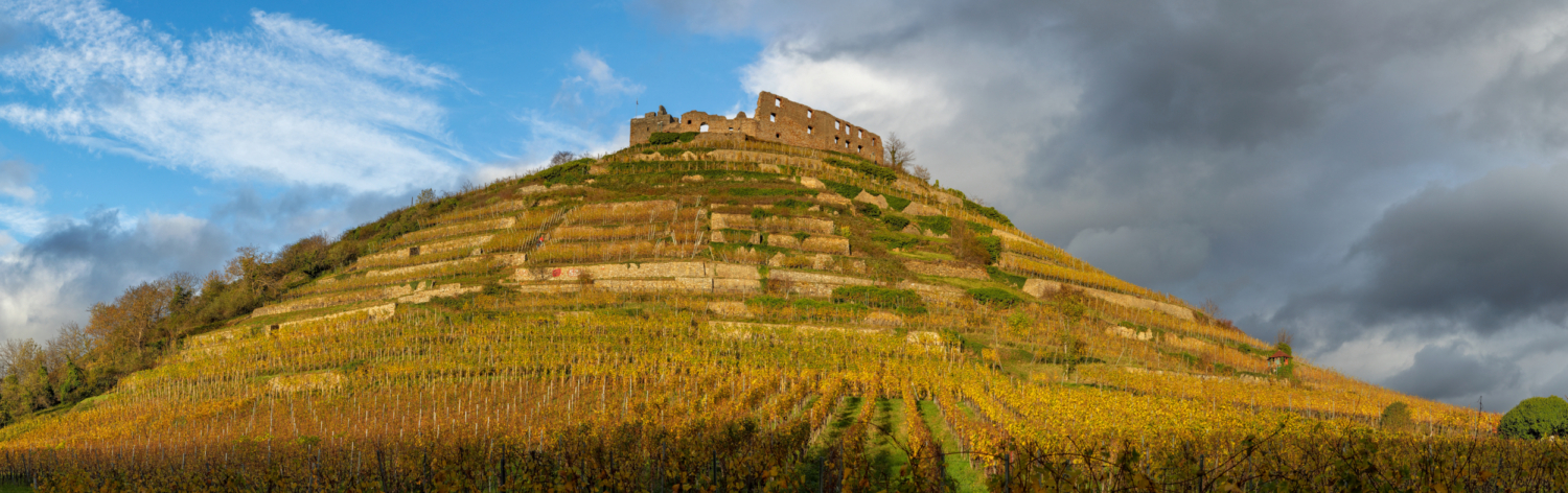 06 -Burg Staufen, Markgräflerland