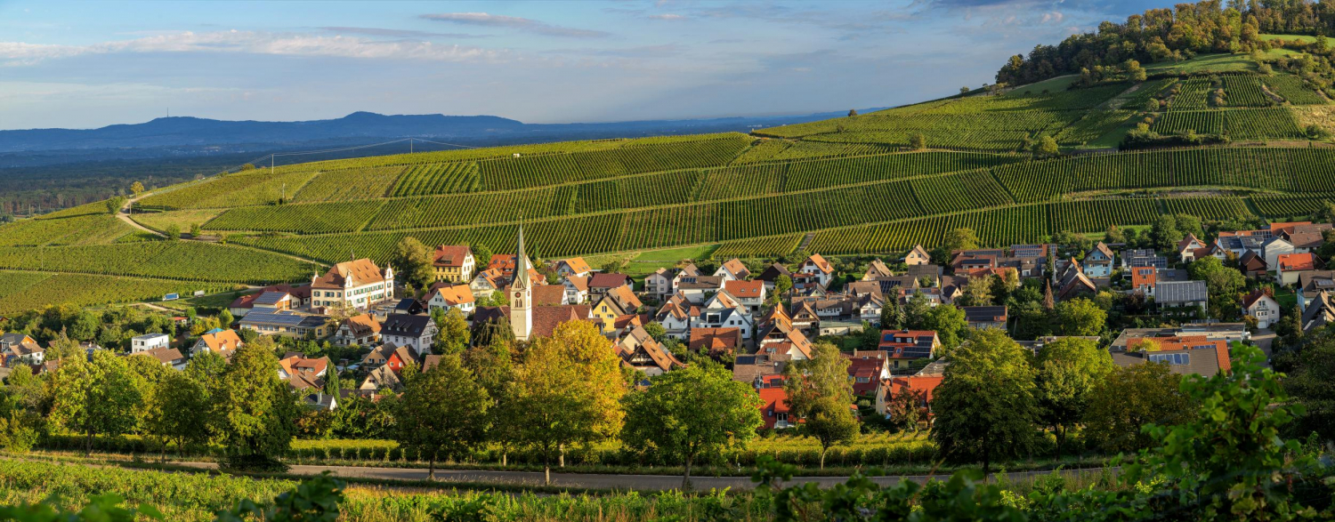 14 - Ebringen, Markgräfler Land