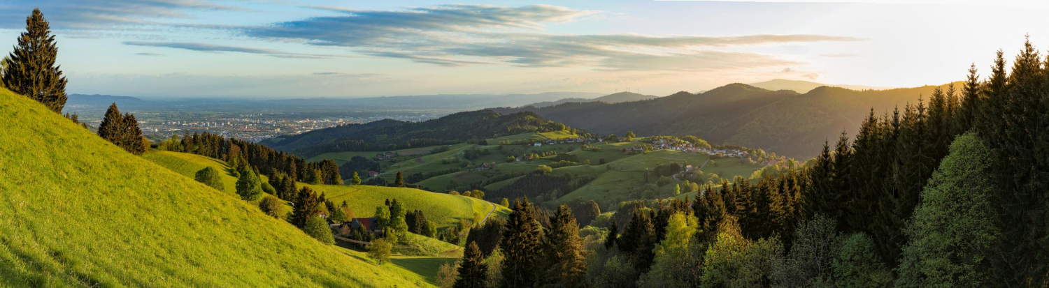 30 - Horben, Schwarzwald