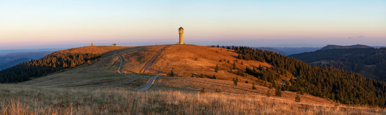 07 - Blick vom Feldberg nach Süden, Schwarzwald