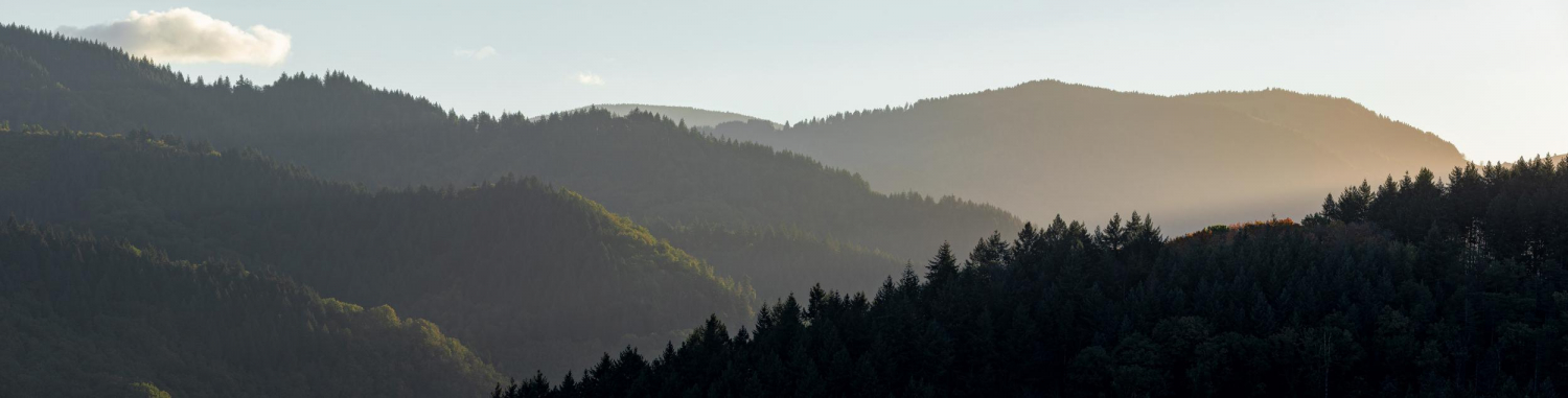17 - Blick in das Münstertal von Westen, Schwarzwald