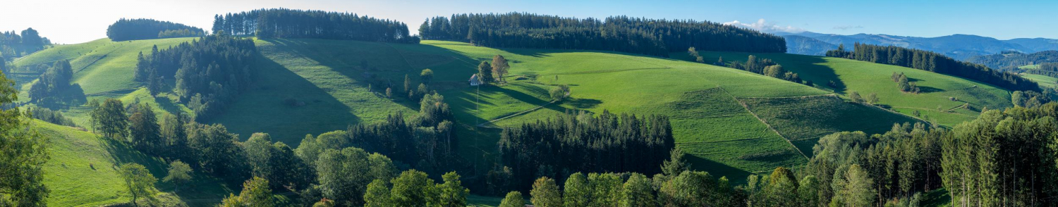 18 - Landschaft zwischen St. Peter und St. Märgen, Schwarzwald