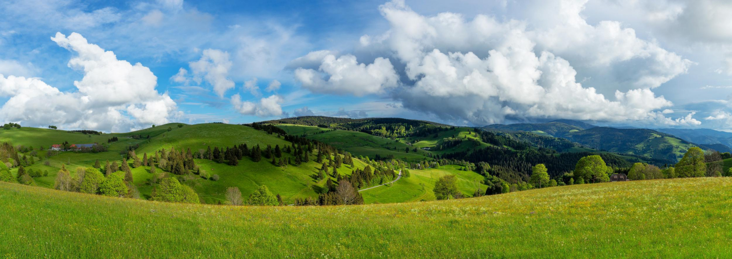 02 - Blick vom Gieshübel zum Stohren, Schwarzwald