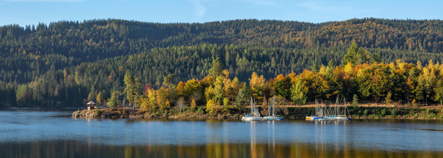 12 - Schluchsee, Schwarzwald