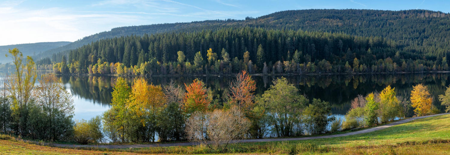 13 - Schluchsee bei Aha, Schwarzwald