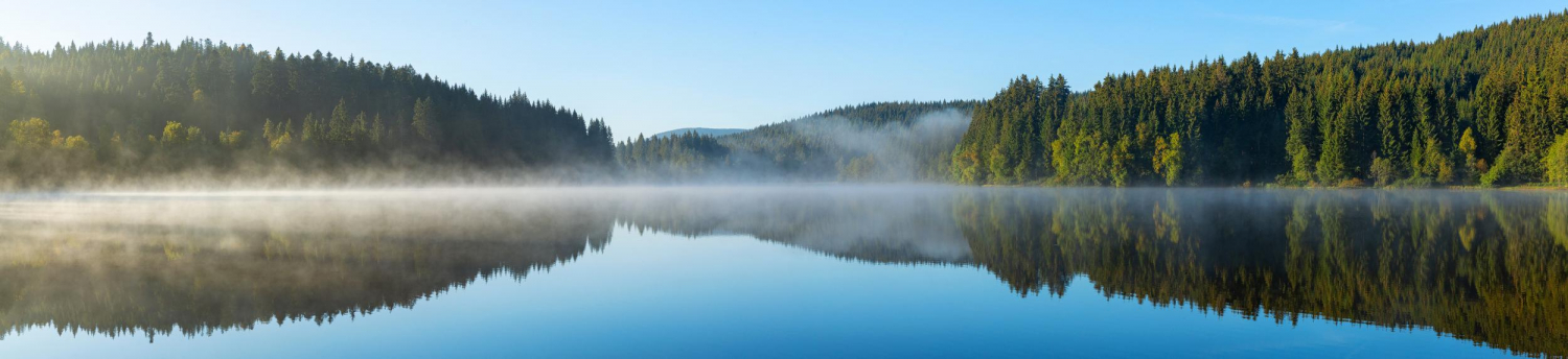 09 - Windgfällweiher, Schwarzwald