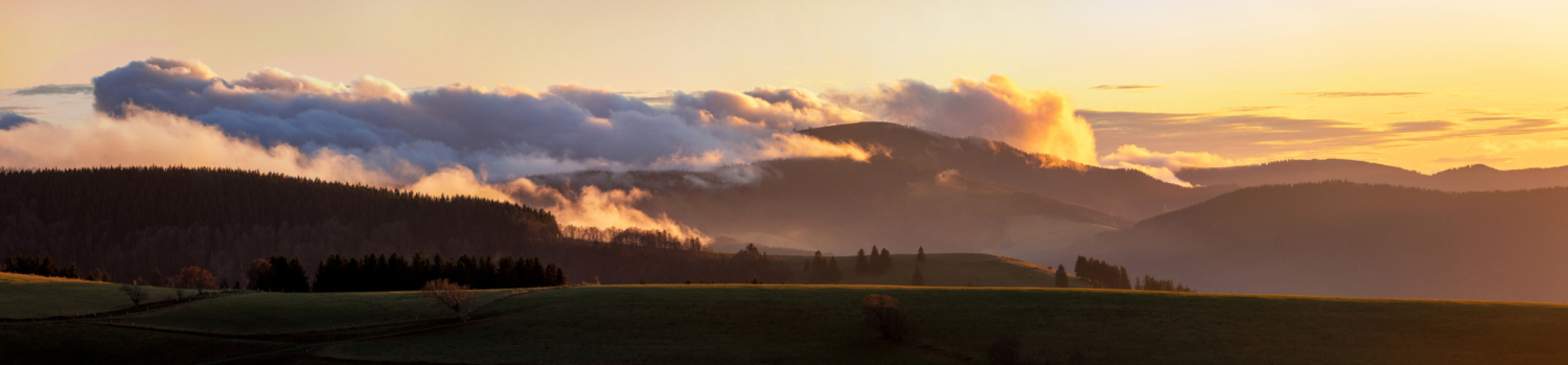 14 - Blick vom Gieshübel zum Belchen, Schwarzwald