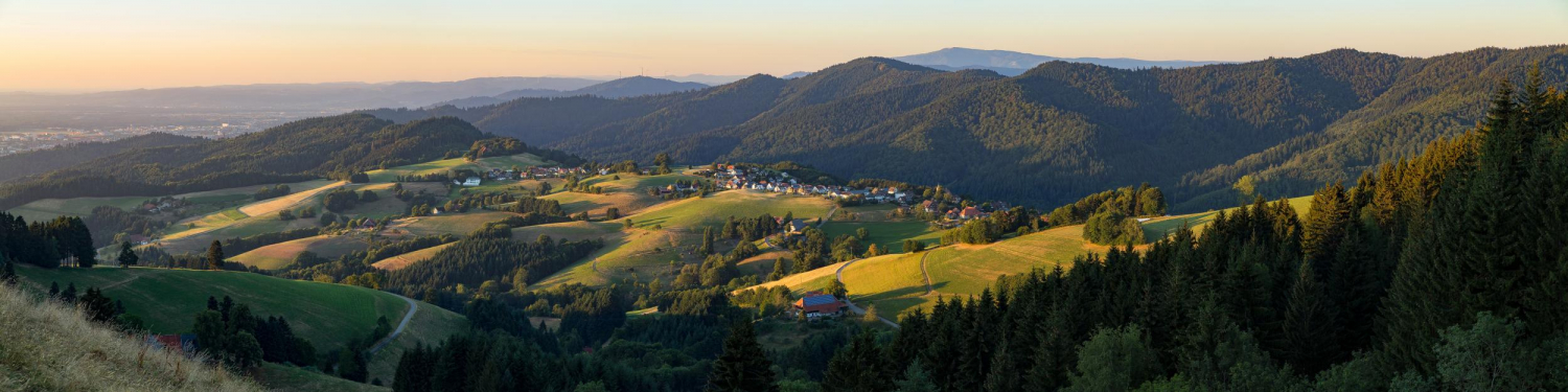 31 -  Horben, Schwarzwald