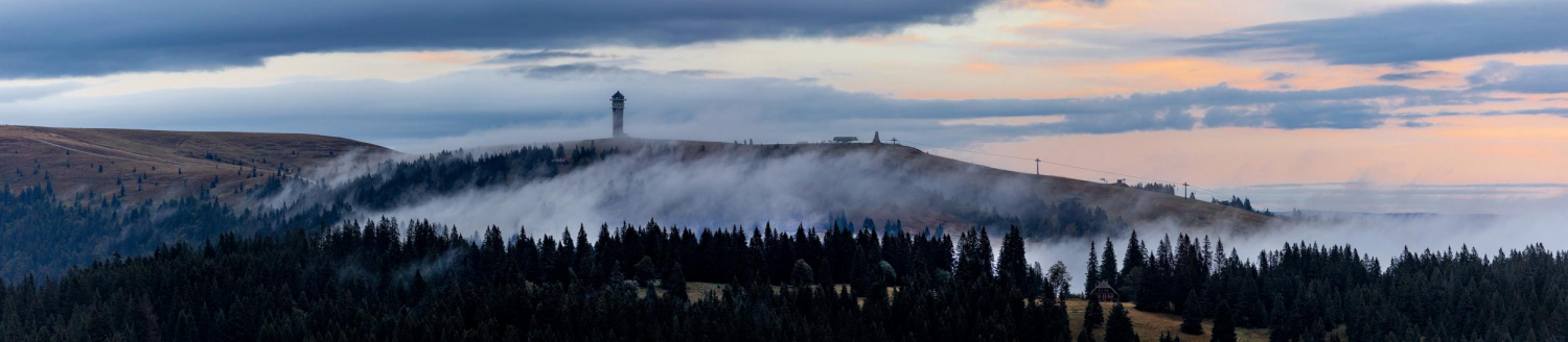 06 - Blick vom Herzogenhorn zum Feldberg, Schwarzwald