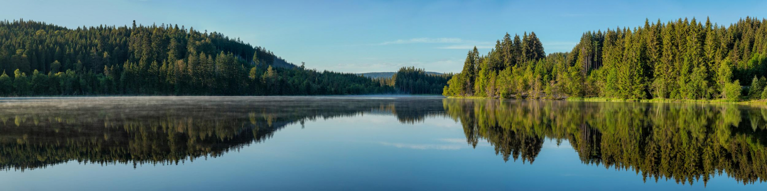 10 - Windgfällweiher, Schwarzwald