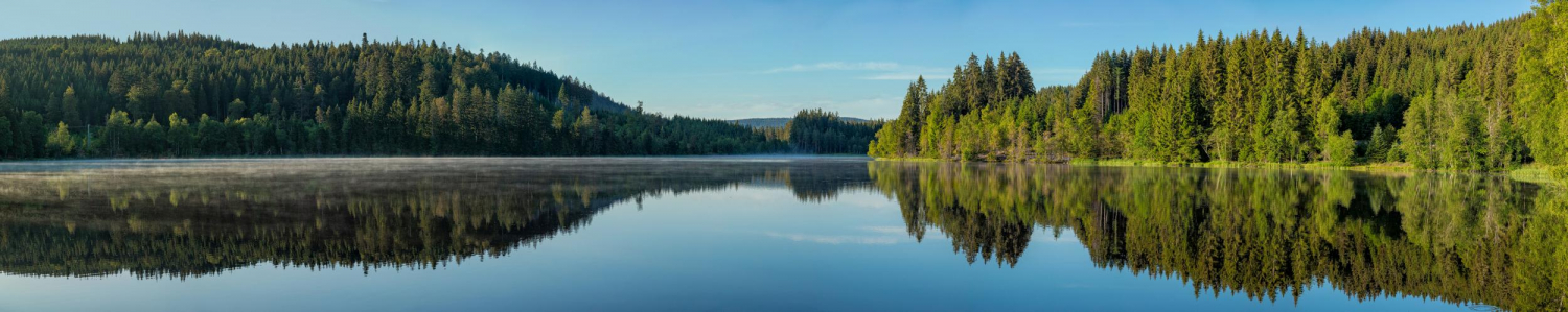 11 - Windgfällweiher, Schwarzwald