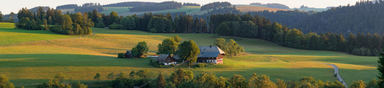 22 - Bauernhof bei Hinterzarten, Schwarzwald