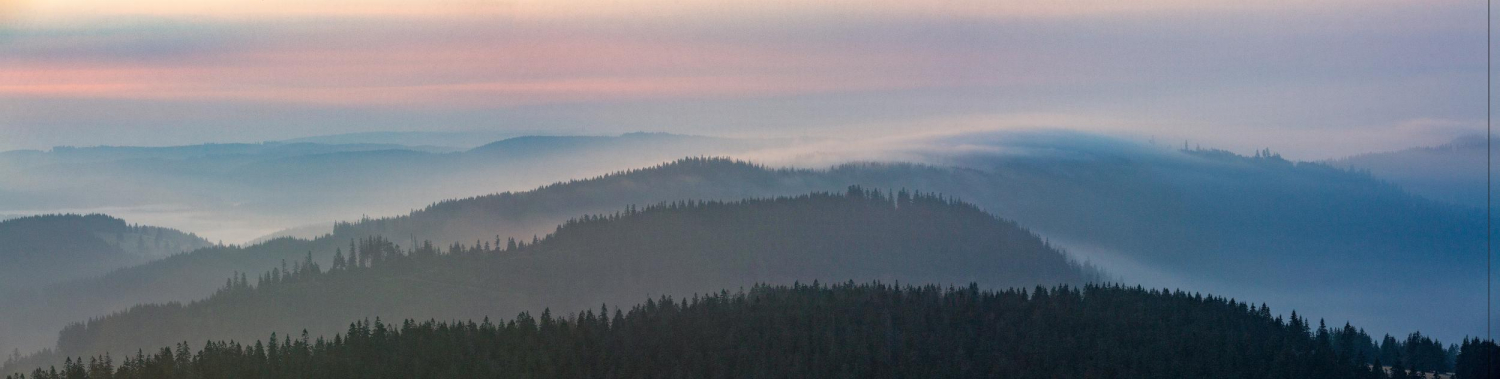 27 - Feldbergblick, Schwarzwald