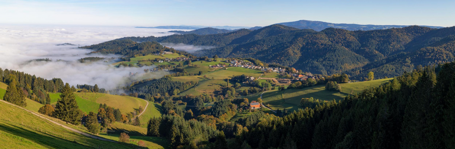 32 - Horben, Schwarzwald