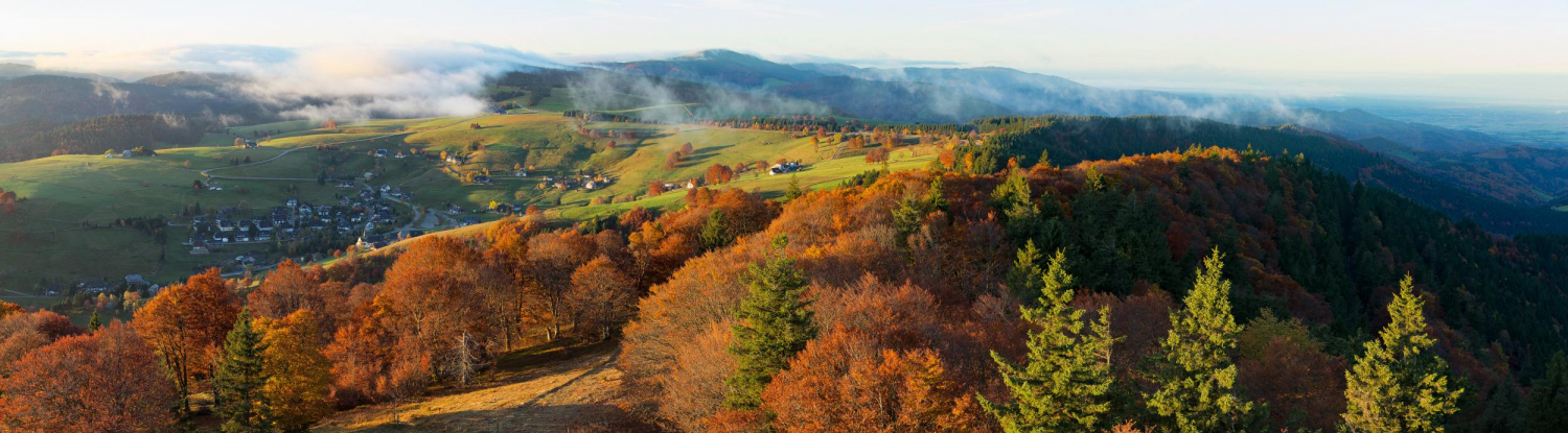 24 - Hofsgrund, Schwarzwald