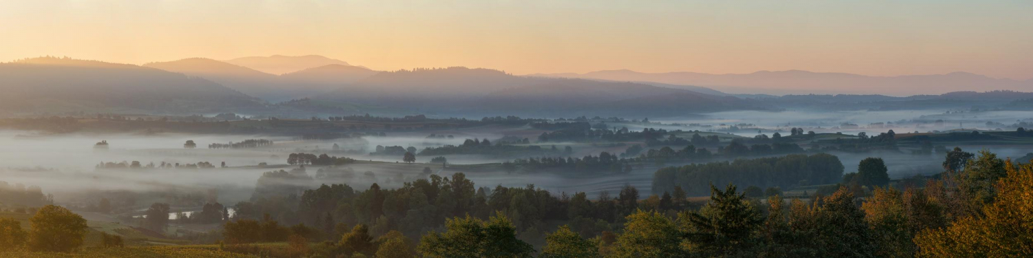 25 - Kandelblick, Schwarzwald