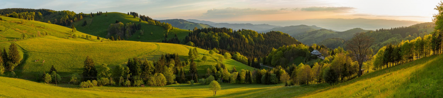 28 - Blick vom Stohren, Schwarzwald