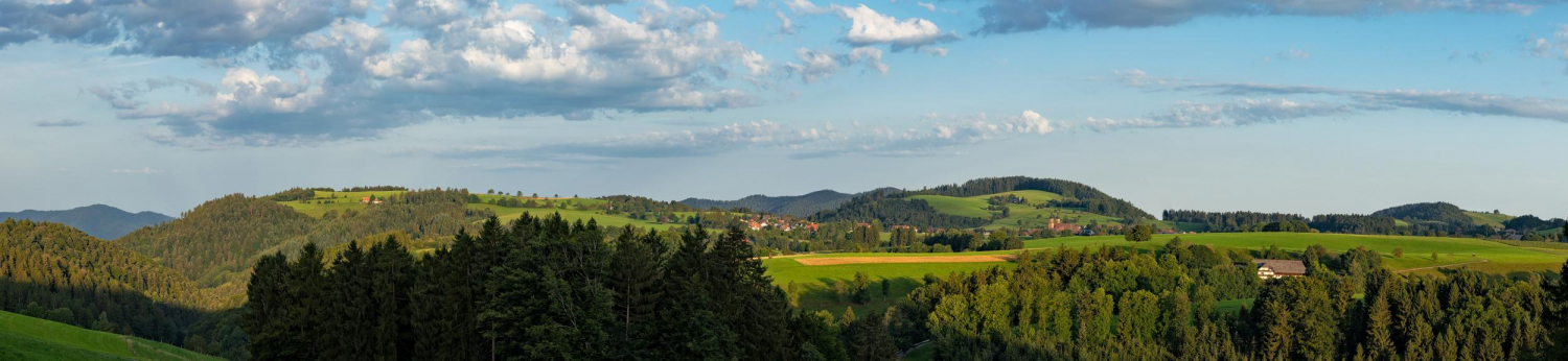 20 - St. Peter, Schwarzwald