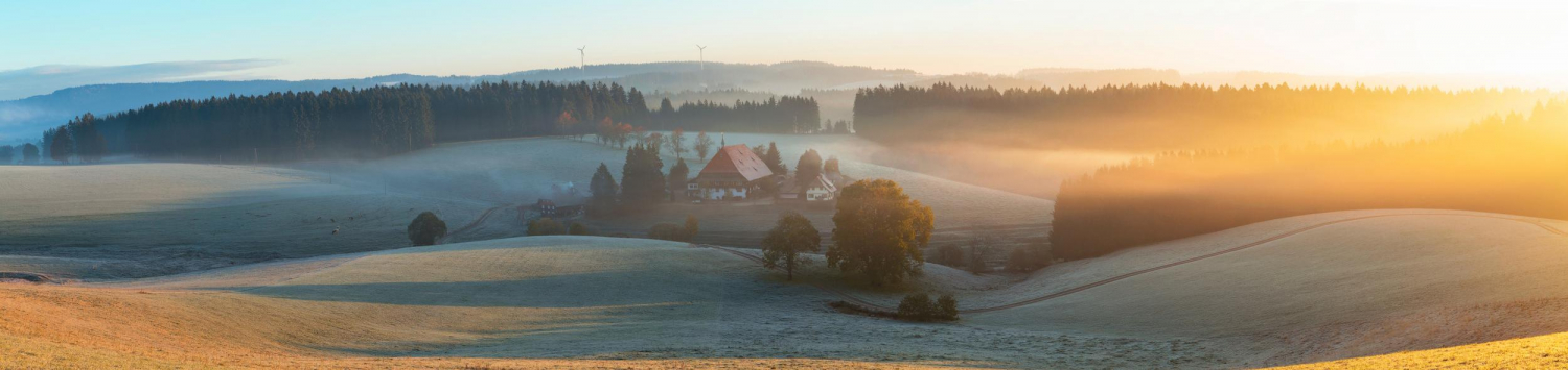 23- Bauernhof bei Gütenbach, Schwarzwald