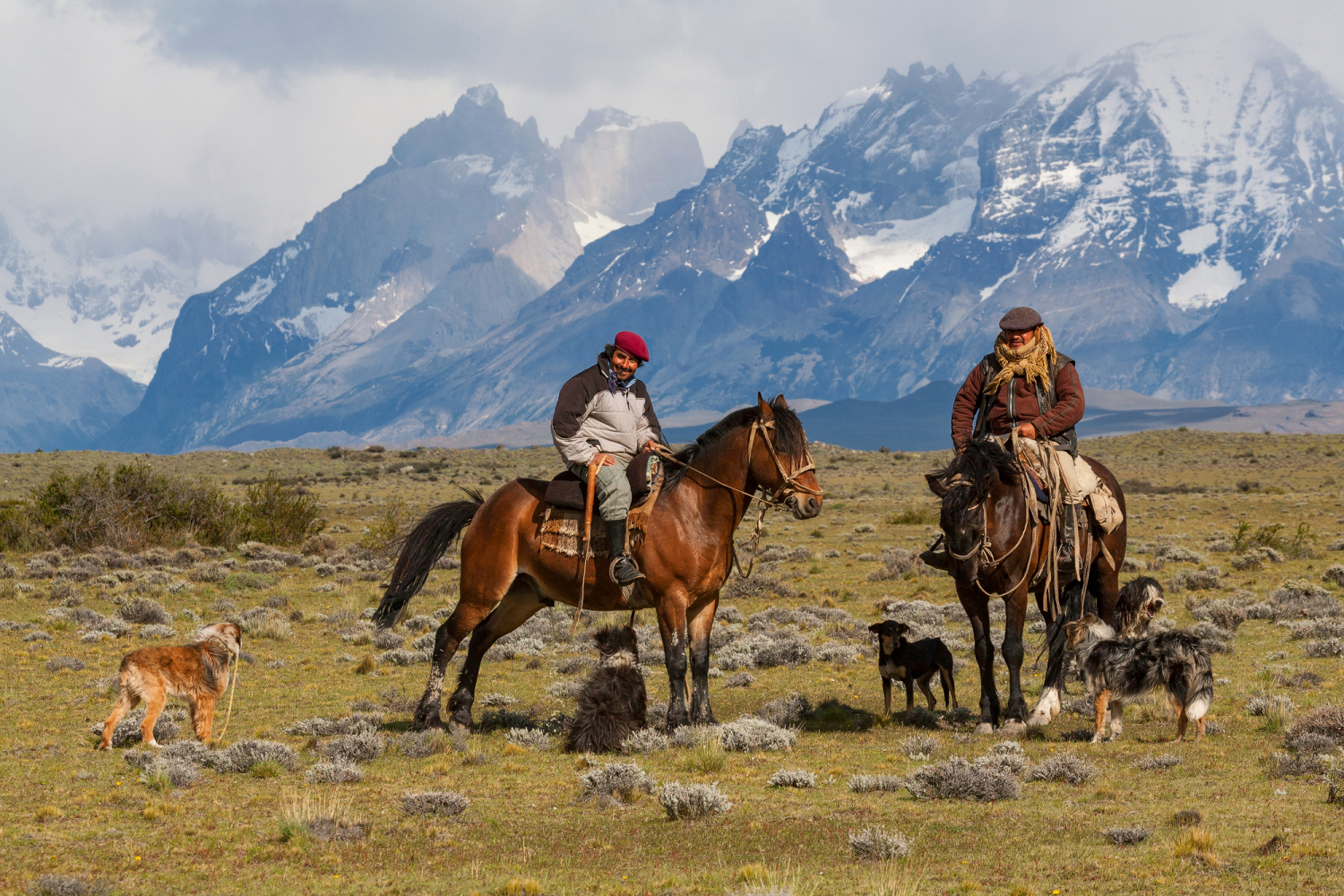 Nationalpark Torres del Paine, Patagonien