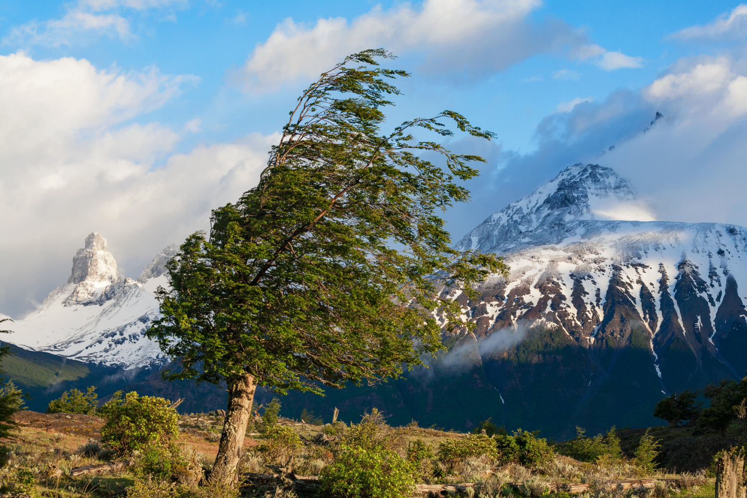 Cerro Castillo, Patagonien