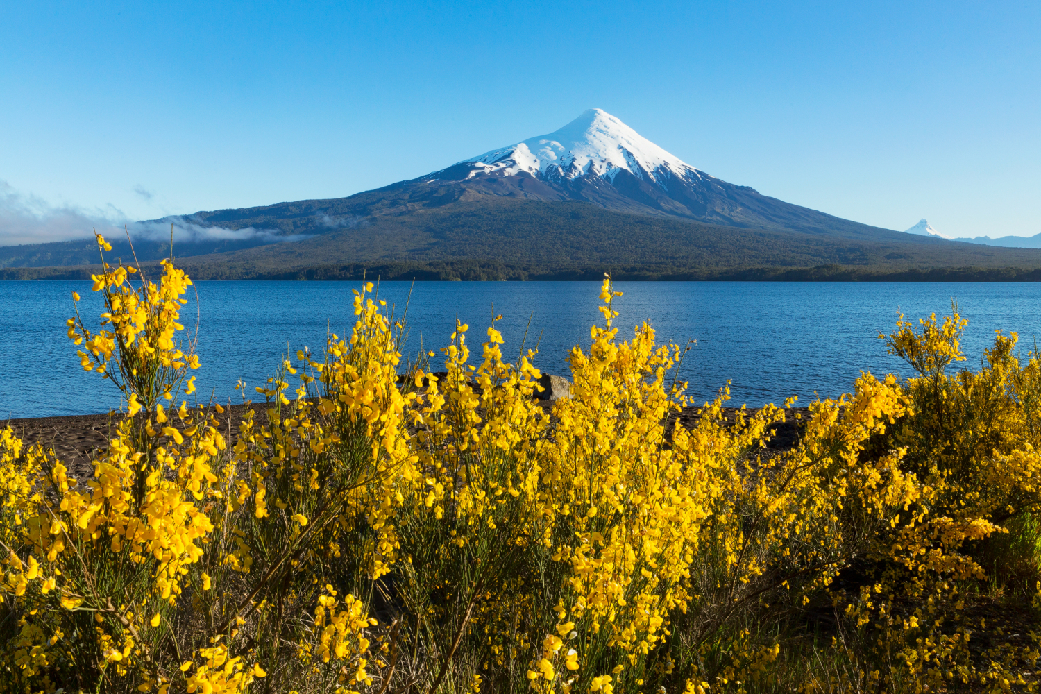 Lago Lanquihue mit Osorno, Patagonien