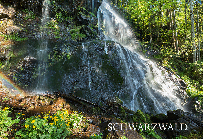 Schwarzwald-Magnet SW-M-35