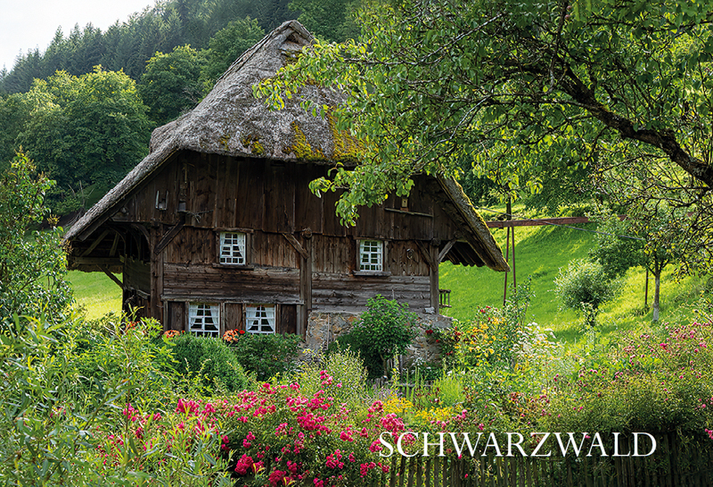 Schwarzwald-Magnet SW-M-36