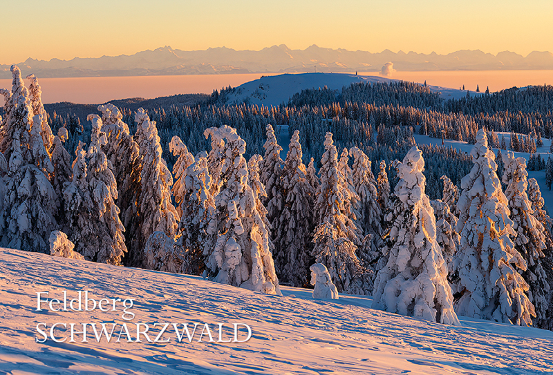 Schwarzwald-Magnet SW-M-38