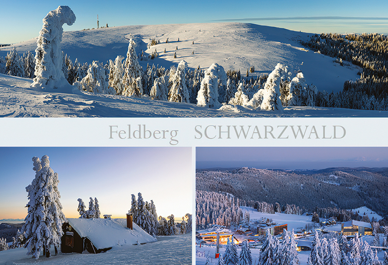 Schwarzwald-Magnet SW-M-39