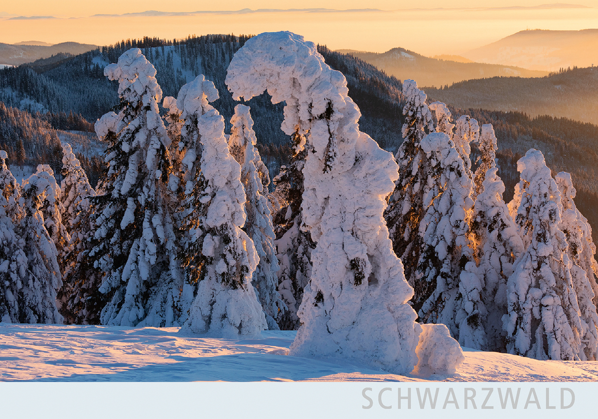 SW162 - Blick vom Feldberg nach Süden