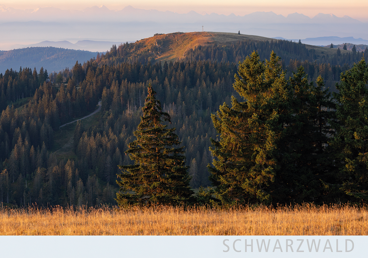 SW169 - Blick vom Feldberg zum Herzogenhorn