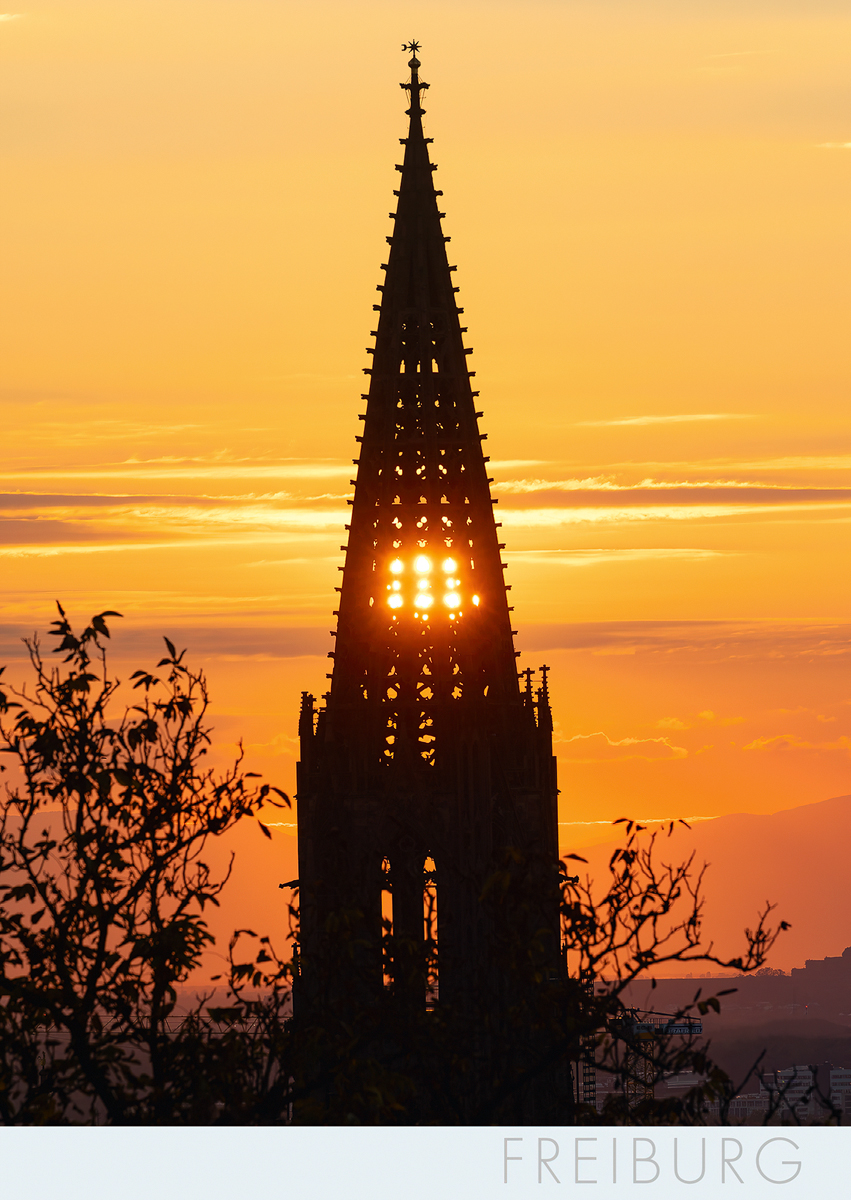Freiburg-Postkarte FR 360
