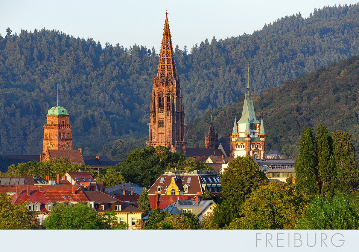 Freiburg-Postkarte FR351