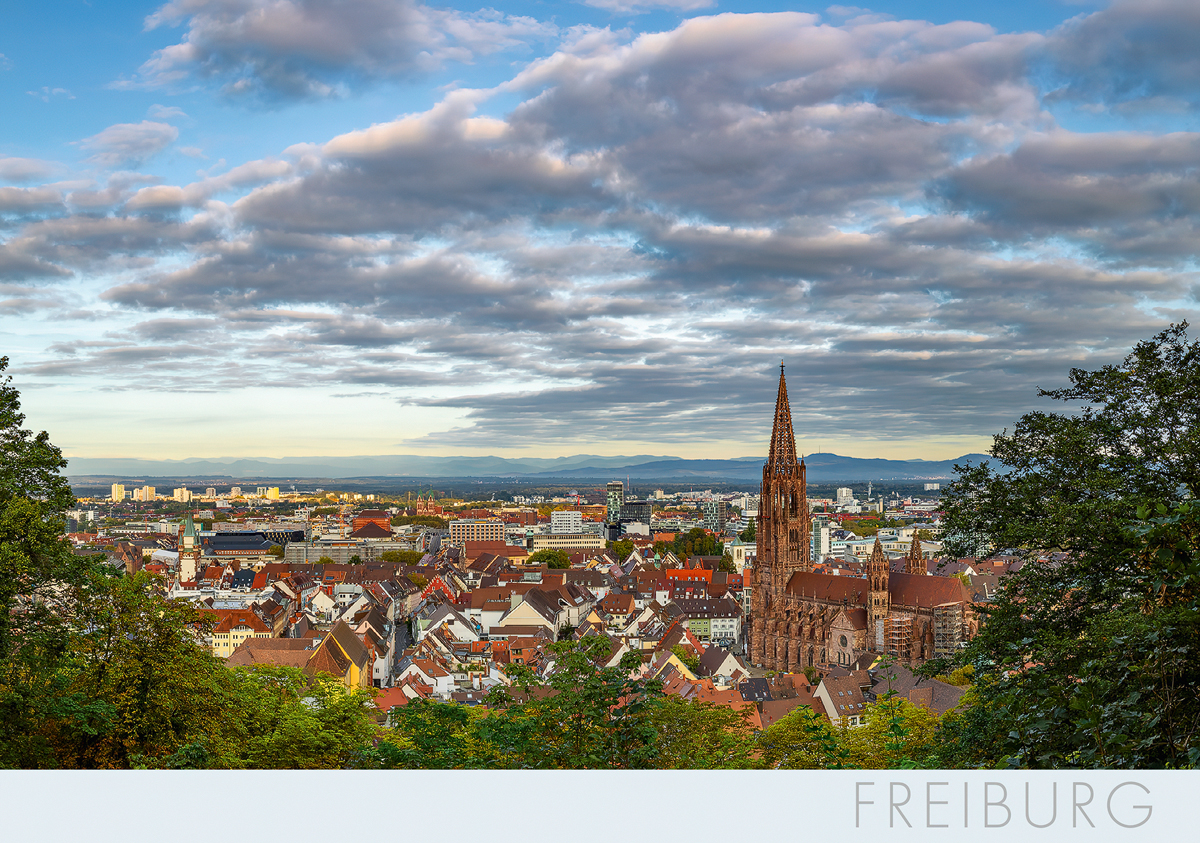 Freiburg-Postkarte FR353