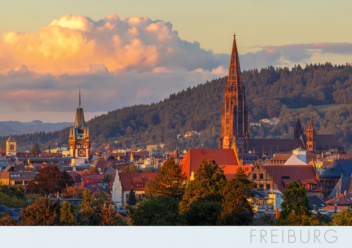Freiburg-Postkarte FR354