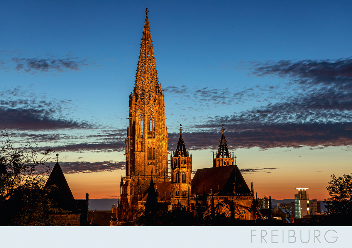 Freiburg-Postkarte FR356