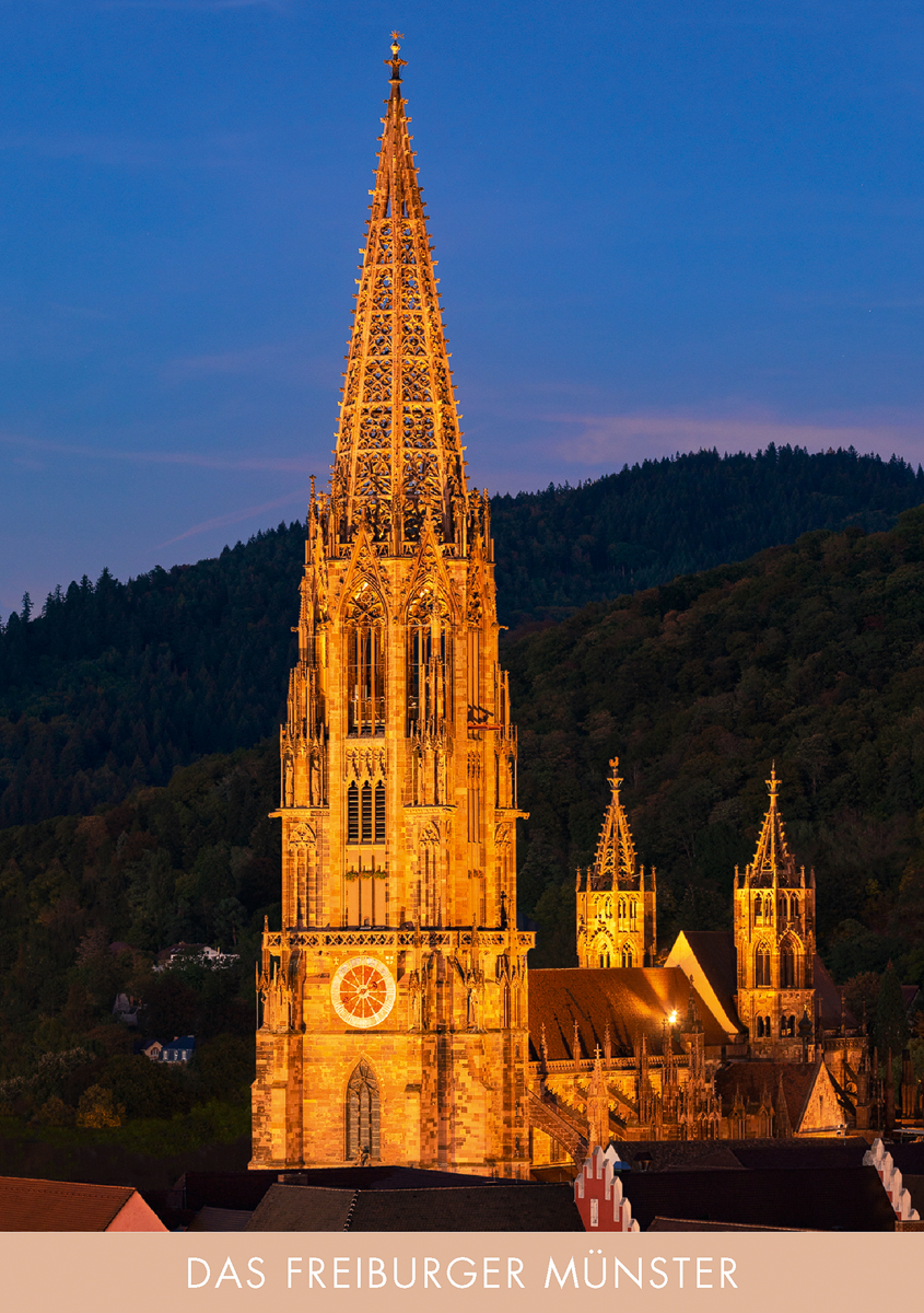Freiburger Münster FM 24